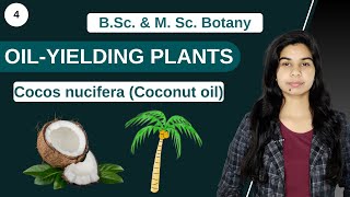 Economic Botany  OILYIELDING PLANTS  Cocos nucifera coconut oil  B Sc amp M Sc [upl. by Ynetsed]