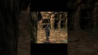 Arvel the Swift Corpse shorts gameclips skyrim skyrimse elderscrolls elderscrollsv [upl. by Eicnahc739]