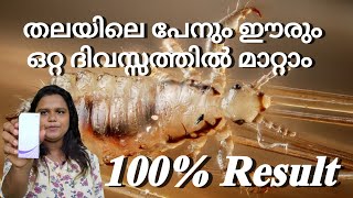 പേനും ഈരും താരനും മാറ്റം ഒറ്റ ദിവസ്സം കൊണ്ട് How to remove Lice and Nit from hair in malayalam [upl. by Lrem]