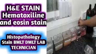 Hematoxylin and eosin stain  H and E stain  Histopathology stain [upl. by Cheyney]