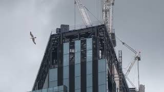 1 Leadenhall Street London England UK June 22 2024 [upl. by Ojeibbob]