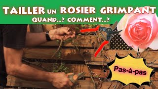 TAILLER un ROSIER GRIMPANT  Quand  Comment [upl. by Nothsa]