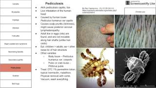 Infestations and infectious diseases of the skin [upl. by William]