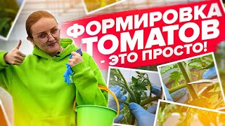 ФОРМИРОВКА ТОМАТОВ 1 2 3 4 СТЕБЛЯ [upl. by Yerfej252]