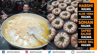 INSANE Old DELHI WINTER Delicacies I HALWA  Habshi Sohan Safed Gajar Urad Dal Aloe Vera Gond [upl. by Yhtommit]