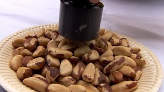 Are Brazil Nuts Radioactive  Bang Goes the Theory  BBC Studios [upl. by Feldt]