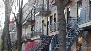 Du houblon sur les balcons [upl. by Semajwerdna]