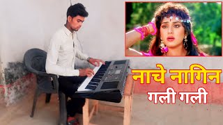 Nache Nagin Gali Gali  Meenakshi Seshadri  Instrumental Music Keyboard  Kailash Maurya [upl. by Minabe]