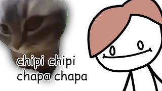 chipi chipi chapa chapa [upl. by Lissner]