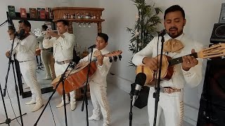 El Mariachi Alazán  Hermoso Cariño Vicente Fernández [upl. by Latea]