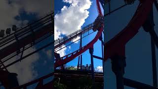 SheiKra roller coaster at bush gardens rock bushgardens rollercoaster fun park themepark [upl. by Aytida18]