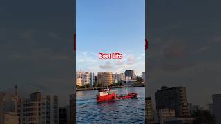 Amazing boat Life viral trending [upl. by Tiphani314]