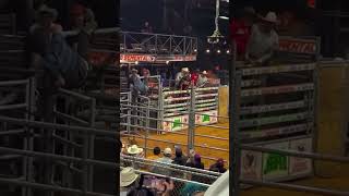 Spider Cowboy 🤠wrecks bullriding [upl. by Yelah504]