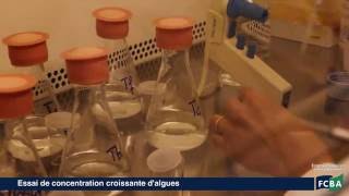 Laboratoire Chimie Ecotoxicologie FCBA [upl. by Ahtenek]