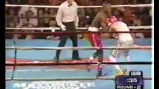 FLOYD MAYWEATHER  CAREER HIGHLIGHTS [upl. by Danit]