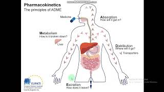 PharmacokineticsADMETRoutes of Drug Administration Physicochemical properties Medicinal Chem5 [upl. by Tonl65]