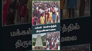 கார்த்தீகை தீபத்தை முன்னிட்டு திருவண்ணாமலையில் குவிந்த மக்கள் கூட்டம் [upl. by Assilen]