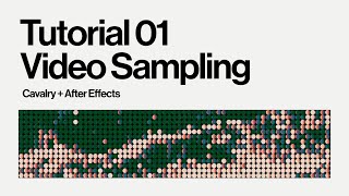 Video Sampling in Cavalry and After Effects  Stylised Motion Graphics [upl. by Fornof963]