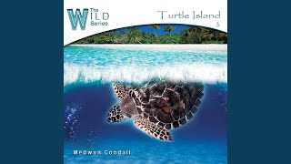 Turtle Island [upl. by Eanert]