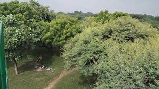 Qutub minar Arkological Forest Sanjay Van Mahroli Tour Arkological park Mehrauli [upl. by Karlene504]