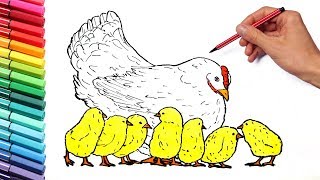 Drawing and Coloring Hen and Chiks  Learning colors Farm Animals Names and Sound [upl. by Aiuqat]