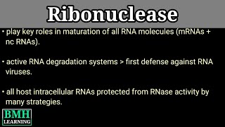 Ribonuclease  RNAse  Ribonuclease Catalysis [upl. by Landahl]