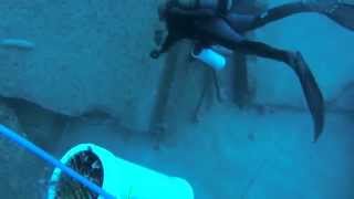 Diving Pensacola Bridge Rubble for Lionfish How to Fill a Zookeeper [upl. by Magdalene]