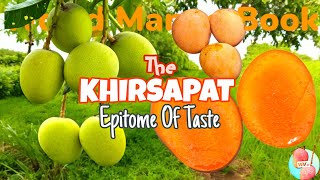 The Legendary Variety  Khirsapat  Mega Review On Khirsapat  Khirsapat vs Himsagar [upl. by Irwinn]