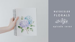 How To Paint Hydrangeas Watercolor Florals Episode Seven [upl. by Nairdna]