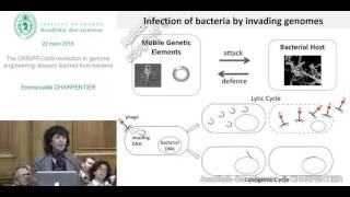 Conférence  E CHARPENTIER  Le CRISPR Cas9  La révolution de lingénierie génomique [upl. by Ruhtua147]