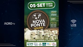 NOVA PONTE LEILÕES AO VIVO  NOVA PONTE MG [upl. by Carline795]