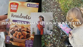 PEPERNOTEN BAKKEN SCHOENZETTEN CHAOS  Vlog 109 [upl. by Millman689]