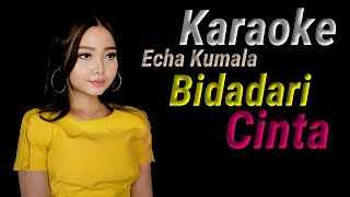 Bidadari cinta Karaoke duet Echa Kumala [upl. by Heilman]