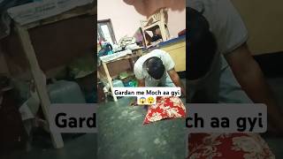 Gardan me Moch Aa gyi 😲😱 shorts minivlog trending ashortaday [upl. by Sadye]