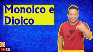 Monoico ou Dioico  Diferença dos conceitos  Reprodução [upl. by Ammadas932]