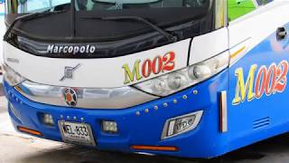 Buses en el terminal de transporte de santamarta colombia [upl. by Atekahs55]