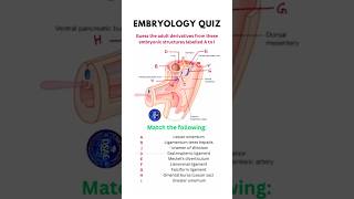 Embryology Quiz by Dr SAM shorts anatomyquiz matchthefollowing [upl. by Nirra]