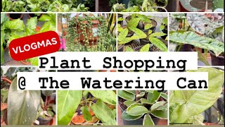 Plant shopping  The Watering Can vlogmas [upl. by Yoreel]