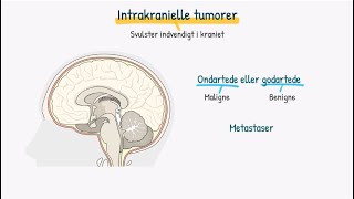 Nervesystemet Intrakranielle tumorer [upl. by Chadbourne942]