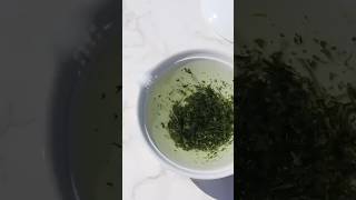 【Sugimoto Tea】Making Gyokuro in the Aritayaki Teapot Hakuji Houhin [upl. by Lilllie]