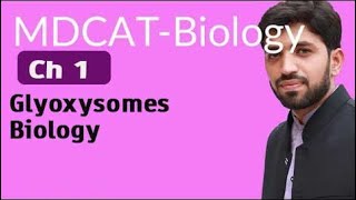 MDCAT Biology Ch 1  Glyoxysomes Biology  MDCAT Biology 2022 [upl. by Nirrac]