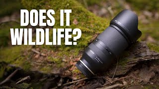 TAMRON 70180 28 from a WILDLIFE Photography Perspective  Lens Review [upl. by Yejus233]