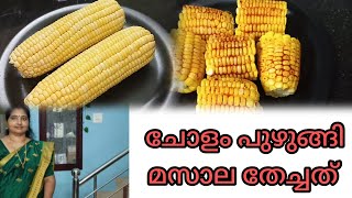 ചോളം പുഴുങ്ങി മസാല തേച്ചത് Spicy boiled corn boiled cholam recipe Bindus spices world [upl. by Berlin]