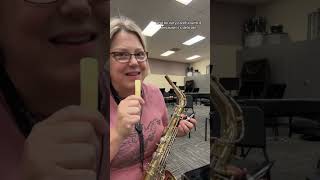 Alto Sax Basics  How to put together [upl. by Aretahs]