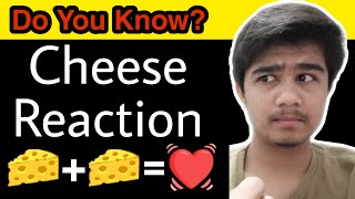 Cheese Reaction  Tyramine Hypertensive Crisis  Cheese Reaction Pharmacology [upl. by Edieh]