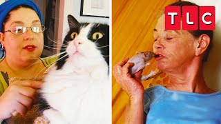 EXTREME Animal Addictions  My Strange Addiction  TLC [upl. by Vardon]