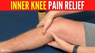 How to Relieve Inner Knee Pain in SECONDS [upl. by Yoo908]