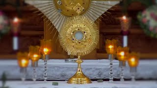 Perpetual Adoration Live  Eucharistic Adoration Live 247 [upl. by Thorman]