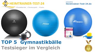 Die besten Gymnastikbälle amp Sitzbälle 2024 TOP 5 🥇  Testsieger im Vergleich gut und günstig [upl. by Hong944]