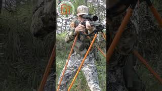 Compilation de tirs 2023 chasse tir shots hunting [upl. by Lourdes]